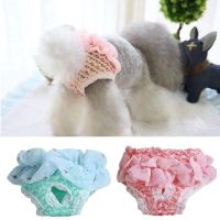 COD DSTGERTERERE Pet Chiffon Denim Physiological Pants Dog Diaper Physiological Pants Sanitary Panties Washable Female Dog Panties Shorts Underwear Lace Edge Pet Pants