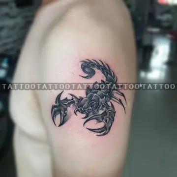 Top 30 Amazing Horse Tattoo Design Ideas 2021 Updated  Saved Tattoo   Horse tattoo Horse tattoo design Small horse tattoo