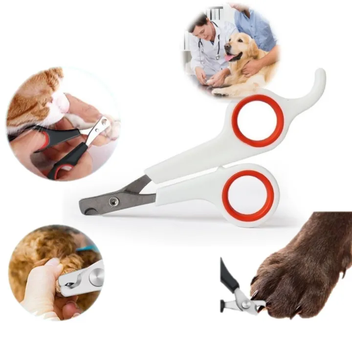 Pet Nail Cutter Stainless Steel Trimmer Scissor for Kittens, Puppies