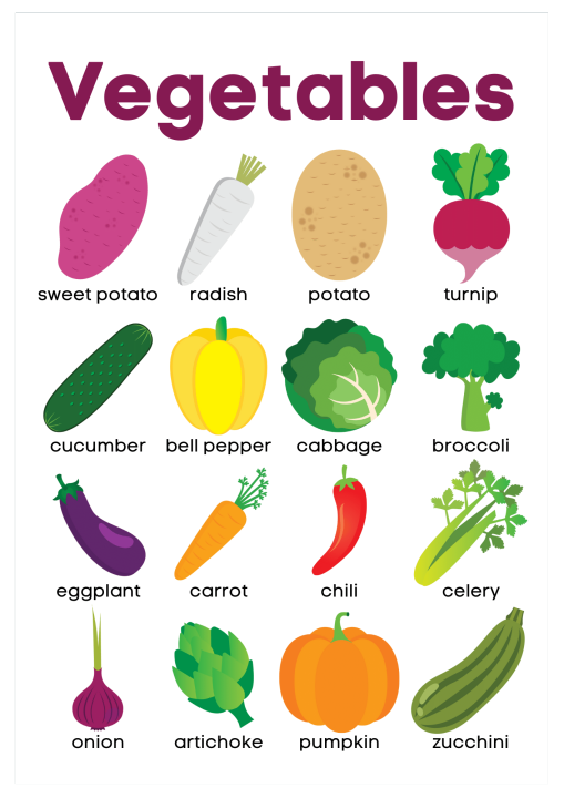 Laminated Vegetable Chart A4 | Lazada PH