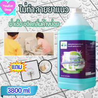 น้ำยาล้างห้องน้ำ สูตรล้างบ่อย ไม่ทำลายพื้นผิว 3800ml  ล้างห้องน้ำ ล้างห้องน้ําประจำวัน Daily Toilet cleaner