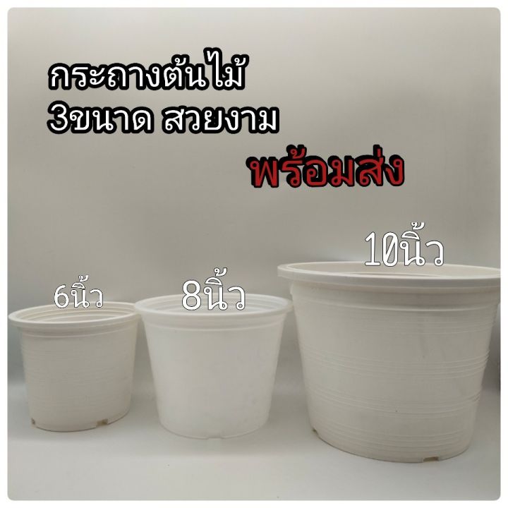 กระถาง-กระถางต้นไม้พลาสติก-กระถางปลูกต้นไม้-มี3ขนาด6นิ้ว-8นิ้ว-10นิ้ว-ขายส่ง6ชิ้น