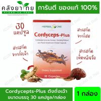 ตังถั่งเฉ้า Cordycepts-Plus (30 แคปซูล) อ้วยอันโอสถ / Herbal One