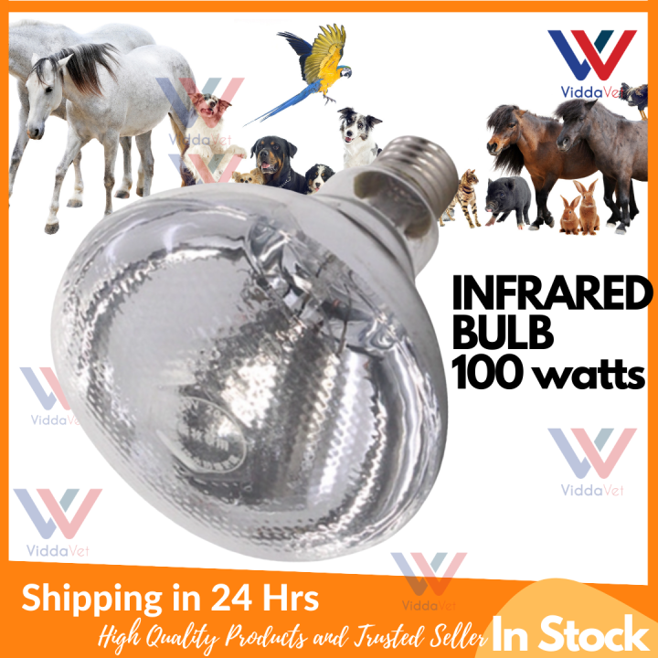 100 watts Infrared Heat Lamp Bulb for Livestock Breeding Lamp Heat