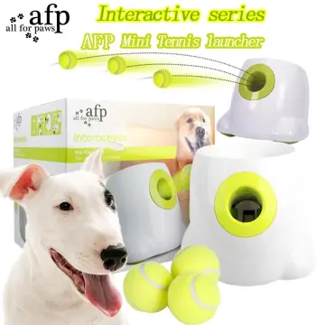 Dog fetch sale toy electric