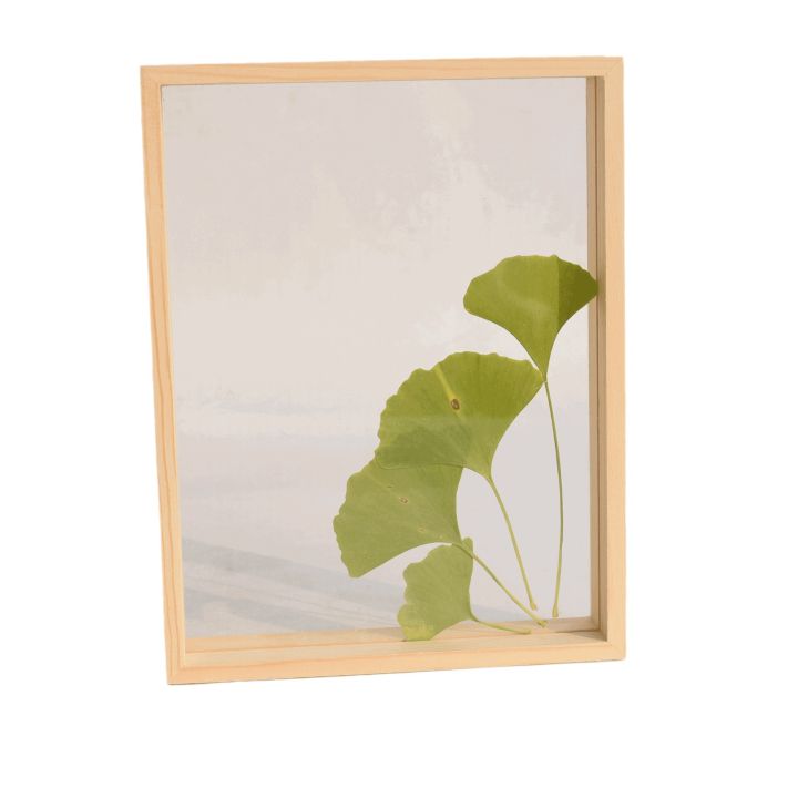 ลายไม้สร้างสรรค์-tablehuilinshen-กรอบตัวอย่างพืชสองกระจกด้านข้างสีล้วนกรอบรูปใสกรอบรูปไม้กรอบรูป