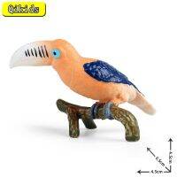 Simulado Aves Modelo Animal, Enfeites De Plástico, Tucano Sólido, PVC ตุ๊กตาขยับแขนขาได้,Brinquedos Edos Para Crianas,Presentes Colecionáveis, Novo