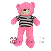 GẤU BÔNG TEDDY CAO CẤP ĐỦ MÀU