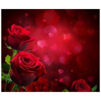 3X5ft Valentines day Vinyl Photography Backdrop Customized Photo Background Studio Prop,Photo Color