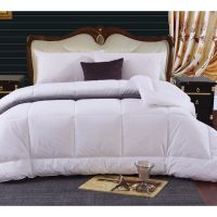 Home Ho Luxury Duvet Insert Comforter Goose Down Alternative