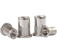 Flat Head M3/M4/M5/M6/M8/M10/M12 304 Stainless Steel Blind Insert Rivet Nut Rivnut Nutsert