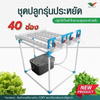 ?ห้ามพลาด! ชุดปลูกอเนกประสงค์ 40 ช่อง By  Hydroponicgroup บริการเก็บเงินปลายทาง