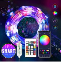 ZZOOI Bluetooth Festoon Christmas Lights RGB USB 5V 10M 20M 30M Fairy Lights Christmas Tree Decor Light String New Year LED Garland