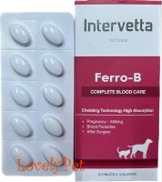 ยกกล่อง(100เม็ด) Dr Choice Ferro B Intervetta บำรุงเลือด สุนัขและแมว แม่พันธุ์ ตั้งท้อง ให้นมลูก หลังผ่าตัด โลหิตจาง