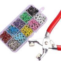 ☞☁ 100 Pair / Lot Solid Color Five-claw 9.5mm Round Buckle Mental Snap Buttons Sewing Free DIY Apparel Sewing Supplies with Box