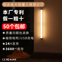 Creative Human Body Small Induction Night Lamp Magnetic Charging Induction Lamp led Bedroom Bedside Lamp Cabinet Wardrobe Light