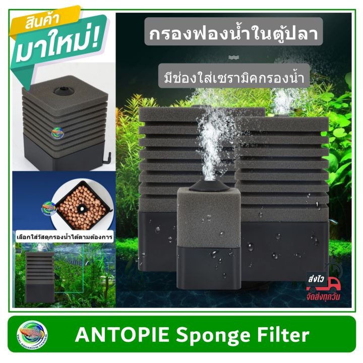 antopie-sponge-filter-กรองฟองน้ำอย่างดี-ฟองน้ำช่วยดูดซับสิ่งสกปรก-เนื้อฟองน้ำทนทาน-มีช่องใส่วัสดุกรองด้านล่าง