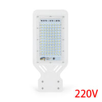 LED Street Lamp 110V 220V IP65 Waterproof Outdoor Lighting Street Light 100W Garden Light park Street wall lamp