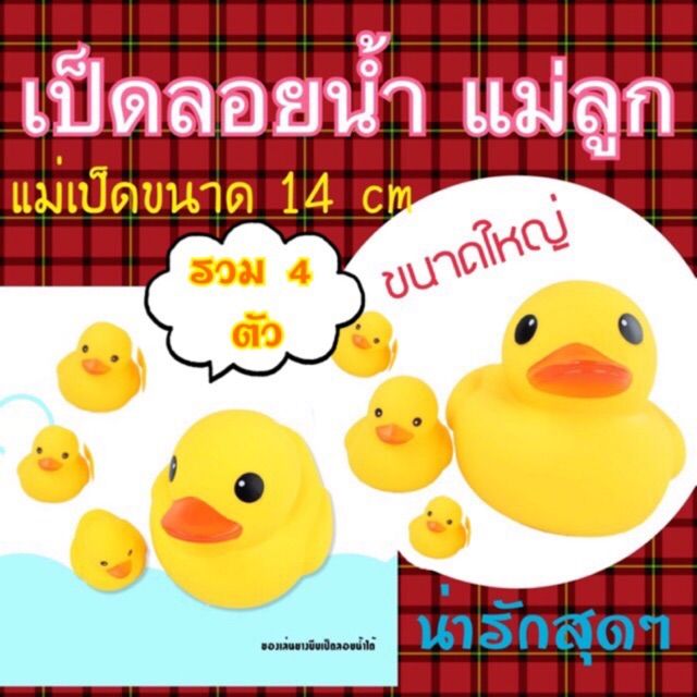 เป็ดลอยน้ำแม่ลูก-บีบดัง-น่ารักาสุดๆ