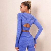 Hamidou Women Energy Seamless Sets 2 Pcs Gym Suits Long Sleeve Top+Push Up Leggings High Waist Pants Running Yoga Suits