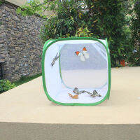 Monarch Butterfly Habitat,แมลงกรงตาข่าย,Caterpillar Terrarium Pop-Up,แมลงและผีเสื้อกรงอาศัย Terrarium Pop-Up