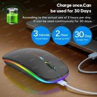 Bluetooth Wireless Mouse For Computer PC Laptop Ipad Tablet Macbook With RGB Backlight Ergonomic Silent Rechargeable USB Mouse