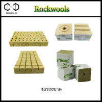 (ของอยู่ไทย ส่งเร็ว) Rockwool ร็อควูล 5/10 ชิ้น 36x36x40mm. เลือกได้เลย ก้อนสำหรับเพาะปลูกต้นกล้าเมล็ดพันธ์ุ เพาะชำ ไฮโดรโปนิกส์