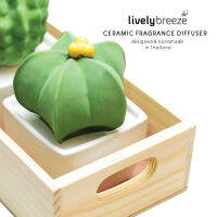 LIVELY BREEZE Star Cactus Ceramic Fragrance Diffuser กระบองเพชรเซรามิกกระจายกลิ่นหอม