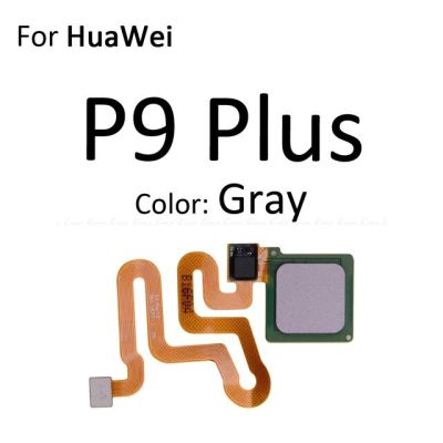 【✔In stock】 anlei3 เครื่องสแกนลายนิ้วมือ P9ขั้วต่อสำหรับ Huawei บวก P8 Lite Mini เซ็นเซอร์สัมผัส Id ปุ่มกลับบ้านสายเคเบิลงอได้เชื่อมต่อกุญแจ