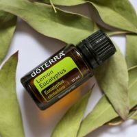 doTERRA Lemon Eucalyptus Oil 15ml น้ำมันหอมระเหยเลมอนยูคาลิปตัส เหมาะสำหรับการทำความสะอาดพื้นผิวและผิว ทำให้อากาศปลอดโปร่งและสดชื่น