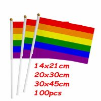 ZXZ 100pcs LGBT gay pride Small national flag 14*21CM 20*30CM Rainbow Hand flag Car Flag American flag