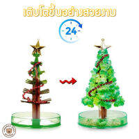 Kidplus ต้นไม้มหัศจรรย์ Magic growing ต้นคริสต์มาสวิเศษ  ของเล่นDIY  ปลอดภัยไม่อันตราย มีหลายแบบให้เลือก เติบโตใน 24ชั่วโมง