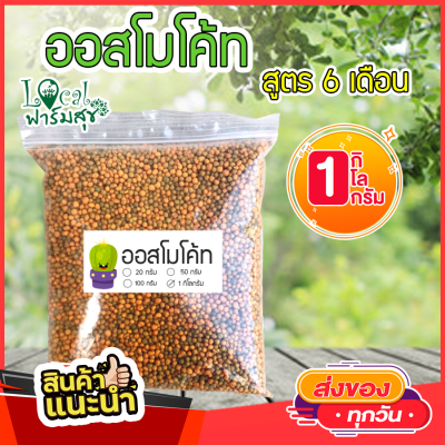 Local ฟาร์มสุข   ออสโมโค้ท (Osmocote-plus) สูตร 12-25-6+1% สำหรับ 6 เดือน เร่งดอก ทำให้ดอกมีขนาดใหญ่ ช่วยส่งเสริมการเจริญเติบโตของรากพืช 1 กิโล homes