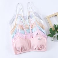 Girls Training Teenage Kids Cotton Underwear Tops Clothing