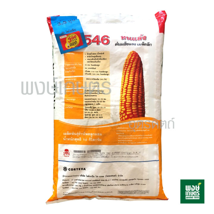 เมล็ดพันธุ์ข้าวโพดลูกผสม-ไพโอเนีย-p4546-ขนาด-3-5หุน-10-kg-ข้าวโพด-ผัก-เมล็ดพันธุ์พืช-ผักสวนครัว-พรรณไม้-พงษ์เกษตรอุตรดิตถ์