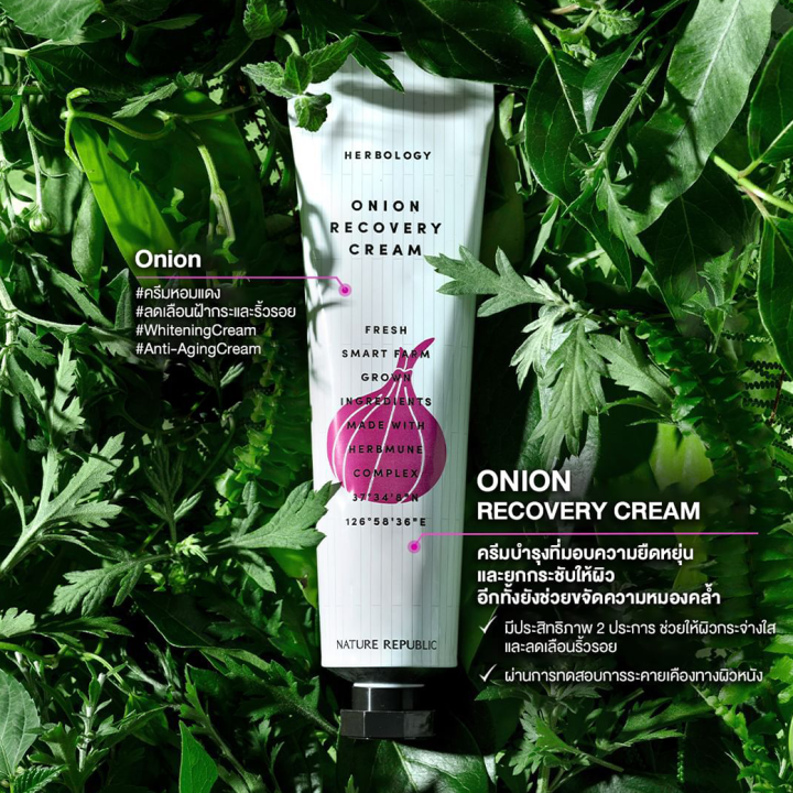 nature-republic-herbology-onion-recovery-cream-70ml