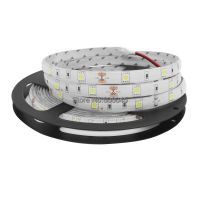 【☑Fast Delivery☑】 na07037036036666 ไฟ Led 150Led 5050 30ดวง/ม. 12V 5ม. Ip20 Ip65ริบบิ้นกันน้ำสีขาวสีฟ้าขาวแบบอบอุ่นสีเขียวแดงเหลือง5050 Rgb