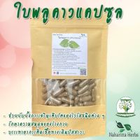 ใบพลูคาว  ขนาด 50 / 100 แคป (1เม็ด 500 มก.) สมุนไพรไทยแท้ 100% พร้อมส่ง -168 Herbs- จำหน่ายทั้งปลีกและส่ง ทักแชทสอบถามข้อมูลสินค้าได้เลยค่ะ