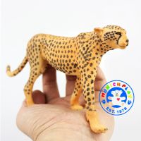 Munich Play - โมเดลสัตว์ Leopard Cheetah เสือดาว เสือชีตาห์ ขนาด 19.00 CM (จากหาดใหญ่)