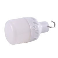 Outdoor Solar Light Bulb with Hook IP65 Garden Courtyard Light Emergency Energy Saving Camping Light Bulb