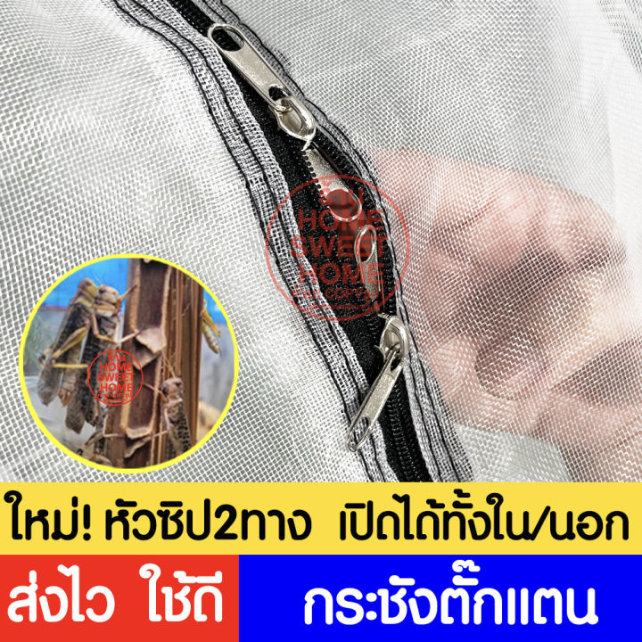 ค่าส่งถูก-กระชังตั๊กแตน-มุ้ง-1-5x1-5ม-สูง1-5ม-กระชังแมลง-กระชัง-กระชังบก-กระชังเลี้ยงตั๊กแตน-กระชังเลี้ยงแมลง-ตั๊กแตน-ปาทังก้า-ส่งไว