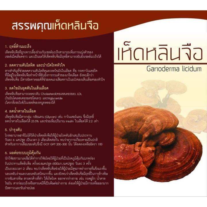 ส่งฟรี-กาแฟเห็ดหลินจือ-กาแฟเพื่อสุขภาพ-กาแฟปรงสำเร็จ-3-in-1-ผสม-เห็ดหลินจือ-20-ชอง-210-บาท-giffarine-กิฟฟารีน-ของแท้