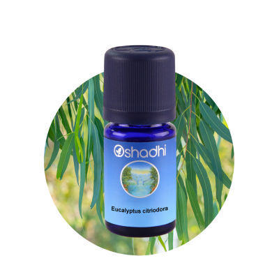 Oshadhi Eucalyptus citriodora Essential Oil น้ำมันหอมระเหย (10 ml)