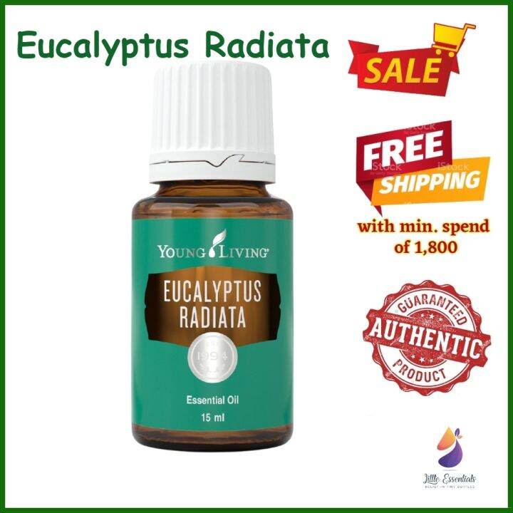 SALE!!! Young Living 15ml Eucalyptus Radiata Essential Oil Young