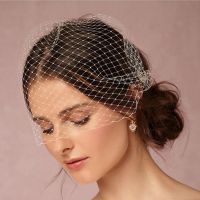 Silver Gold Birdcage Veils White Blusher Veil for Bride schleier braut Hair Accessories