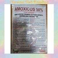 ครอบครัวสัตว์เลี้ยงในฝันที่50% สีเขียวพริกไทยขาวและขนาดกลาง