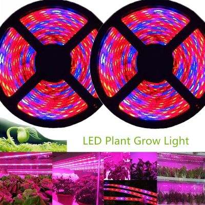 ❅☇ 5m Phyto LED Grow Light 12V Full Spectrum LED Growing Diode Tape Lamp 5050 LED Strip Plant Phytolampy IP65 Flexible Aquarium