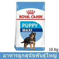 ด่วนโปร ส่งฟรี [10kg] Royal Canin Maxi Puppy 2-15 mth Old อาหารลูกสุนัข โรยัล คานิน สำหรับลูกสุนัขพันธุ์ใหญ่ 2-15 เดือน 10กก.