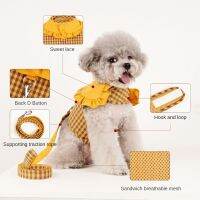 เสื้อกั๊กสัตว์เลี้ยง Hand Holding Rope Dog Cat สายรัดหน้าอกสุนัขขนาดเล็กและขนาดกลาง Pomeranian Teddy Dog Rope