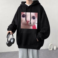 Funny Bingus Cat Print Hoodie Long Sleeve Oversized Funny Hoodies Men Women Warm Fleece Streetwear Casual Pullovers Sweatshirt Size Xxs-4Xl